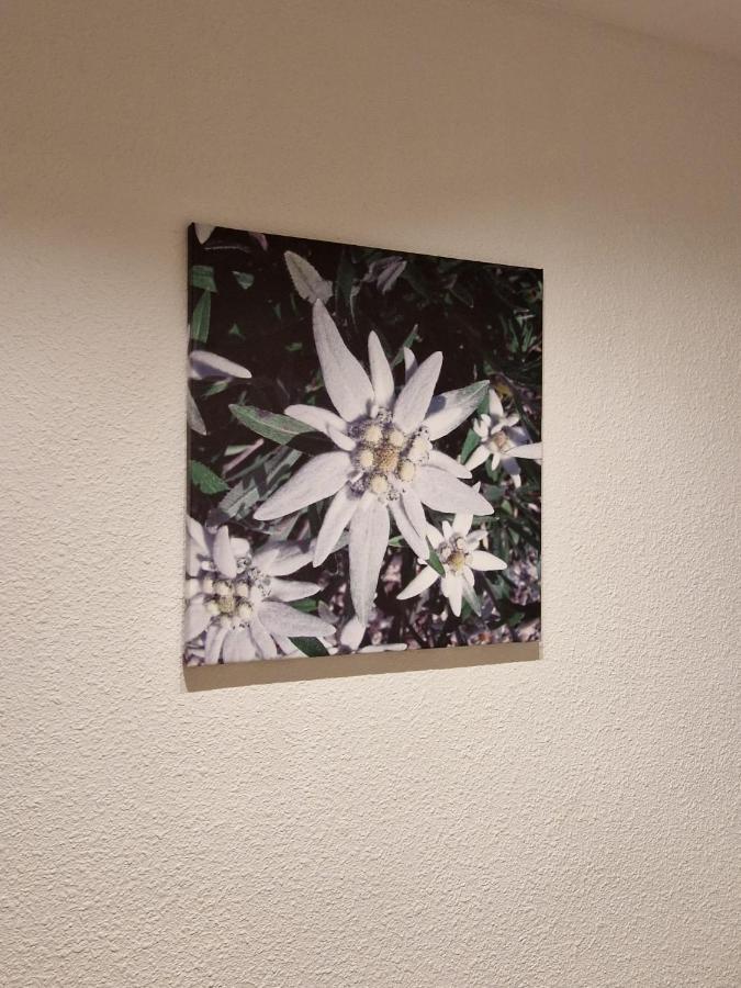 Flor De Nieve Apartment ฮากา ภายนอก รูปภาพ